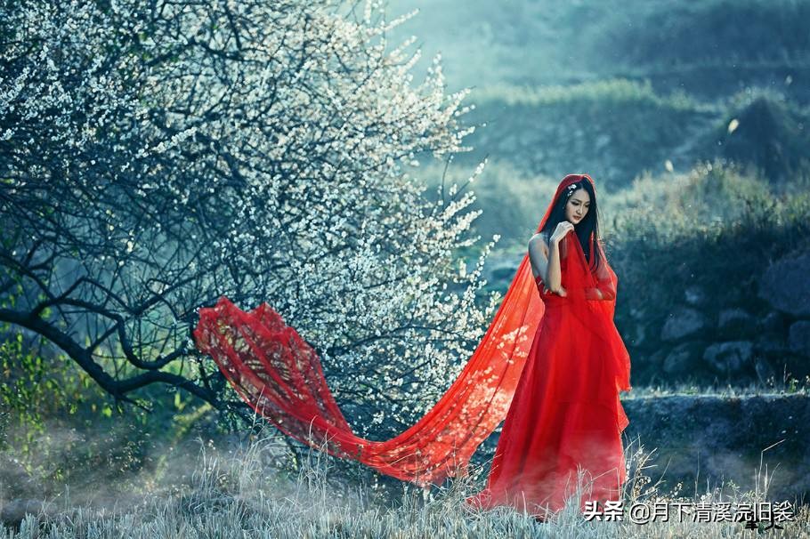 梅开二度，一段鲜为人知的爱情故事「梅花见证纯美的爱情」