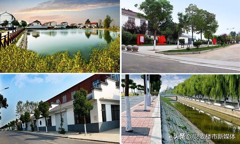 徐州城建vs临沂城建,徐州的城建排名第几