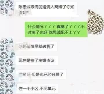 王宝强陈思诚访谈录,王宝强和陈思诚采访