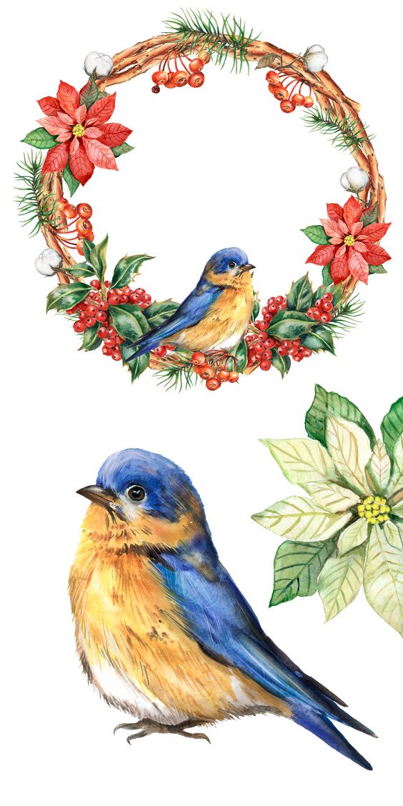 花花边框图片大全简单又漂亮,花花边框视频素材