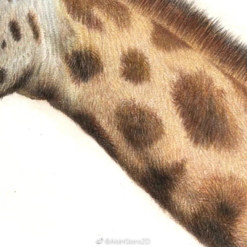 90后小伙用笔画画,九零后小伙靠画肖像漫画走红网络