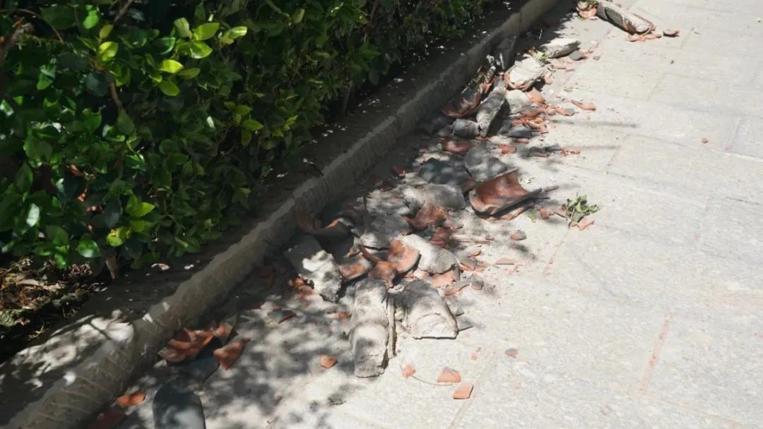 地震大家都准备好了东西了吗,地震了你们感觉到了吗