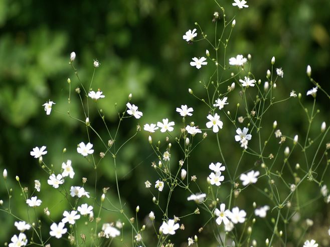 当你心情烦躁时记住这五句话,心情烦躁时激励的话