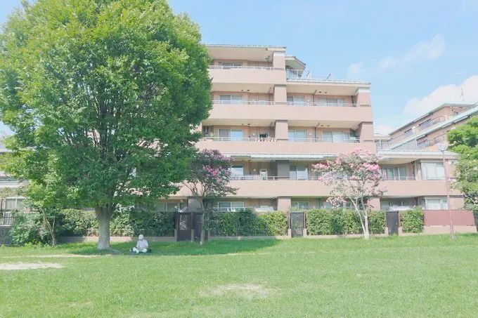 日本攻略你不会注意到的细节,日本攻略指南