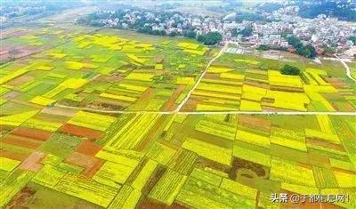 如何介绍自己的家乡于都,介绍自己的家乡于都