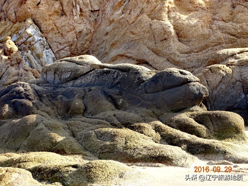 营口黄金海岸沙滩,营口北海海滩攻略