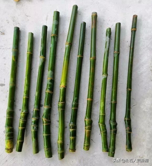 竹席哪种竹子最好,竹席怎么盘包浆