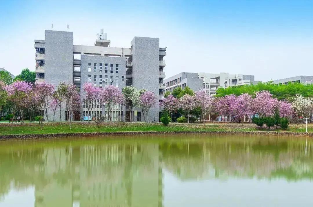 广东省大专创新院校排名,广东深职学院最低排名