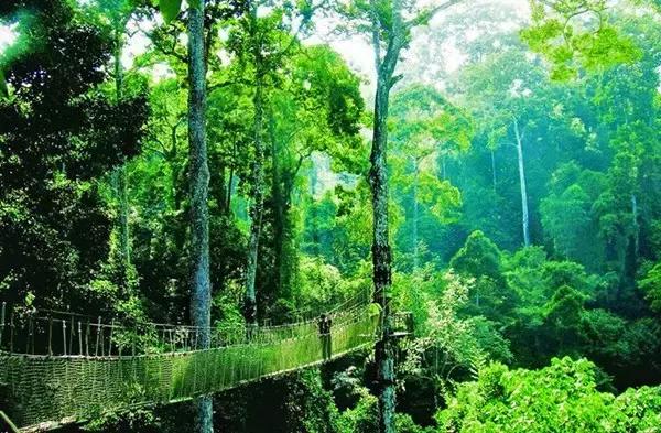 西双版纳旅游攻略旅行地点推荐,西双版纳旅游攻略最新详细