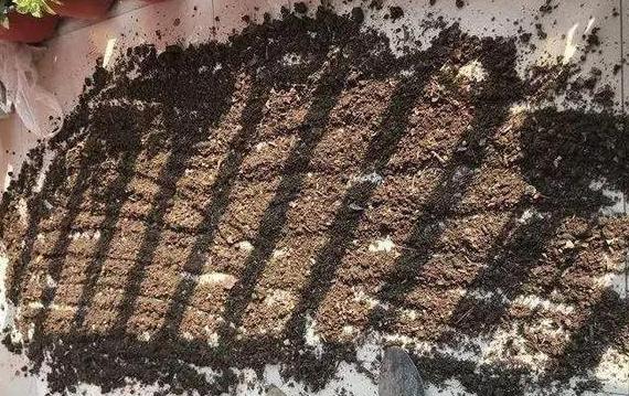 种植花草的营养土是怎么弄出来的,新手养花怎么用营养土最好