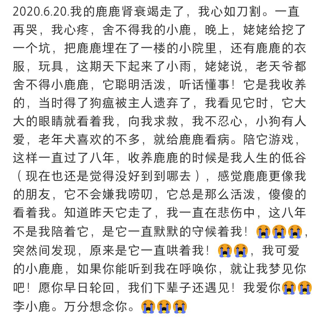狗狗肾衰竭的治疗方法,幼犬狗狗肾衰竭