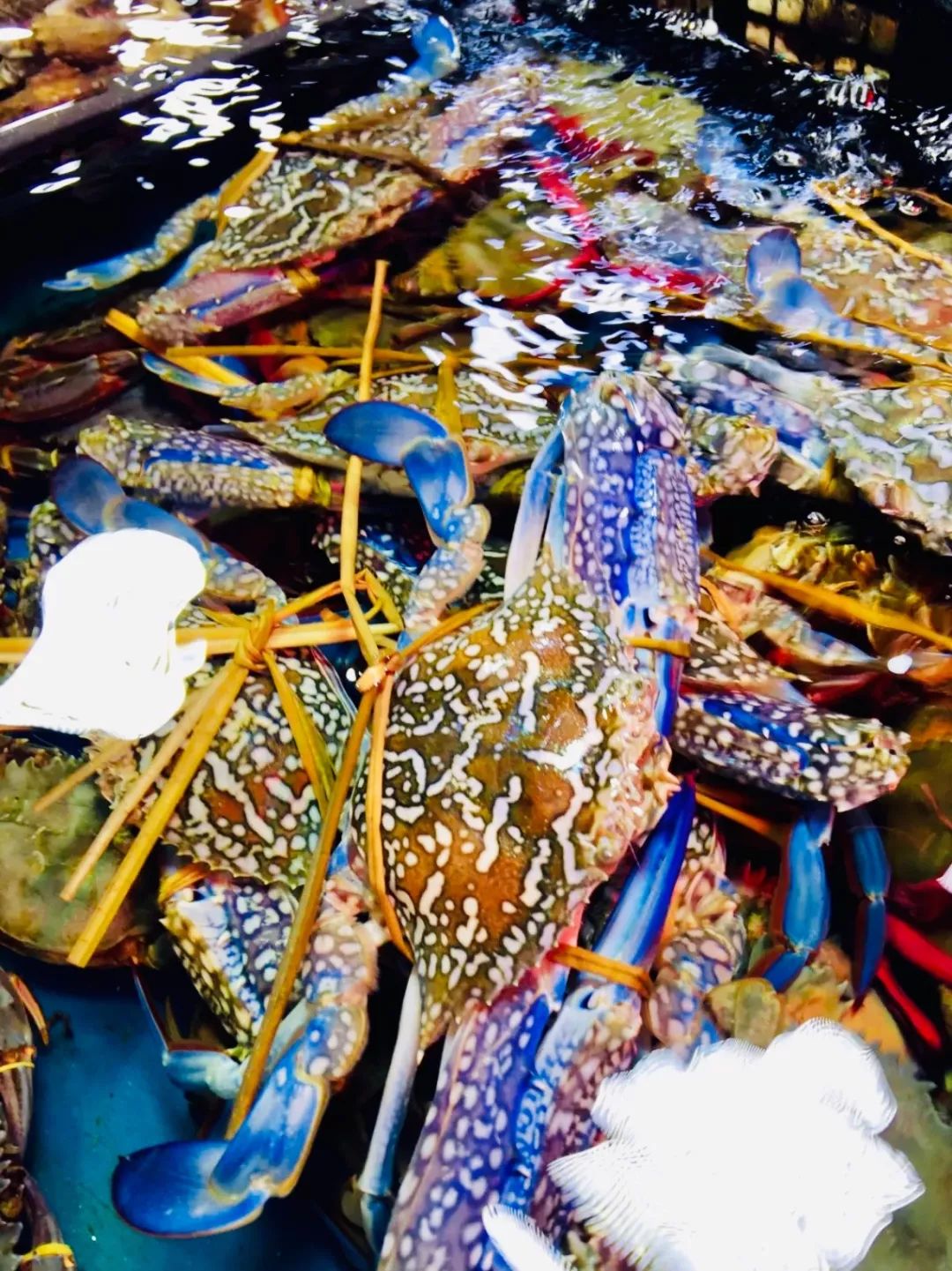 西安批发市场大全,西安最全批发市场地址