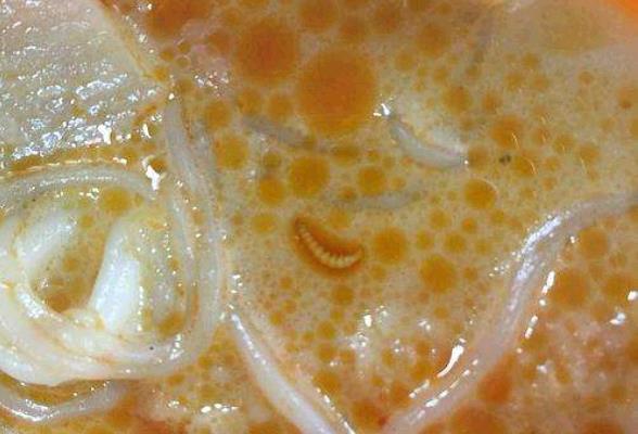 律师点外卖吃出苍蝇,外卖吃出虫子该怎么维权