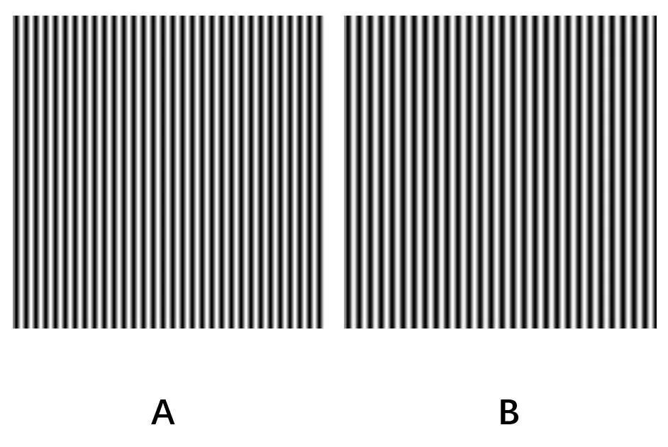 最美魔性条纹图片,最美的魔性条纹