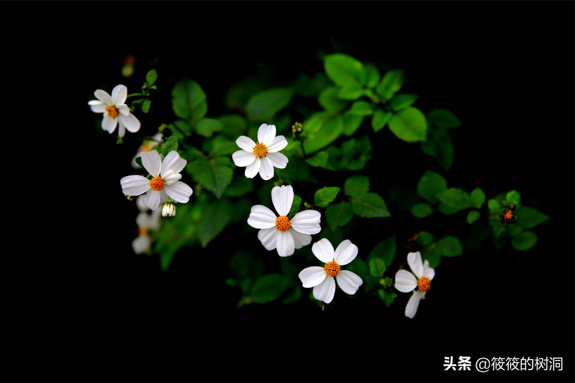 辞职休息半年感悟,工作10年辞职感悟