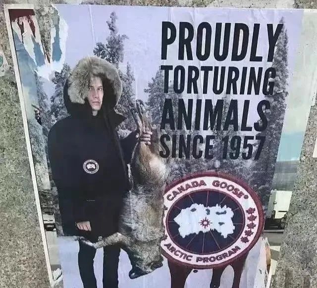 东北大姨穿彩色貂,东北大姨穿貂皮大衣