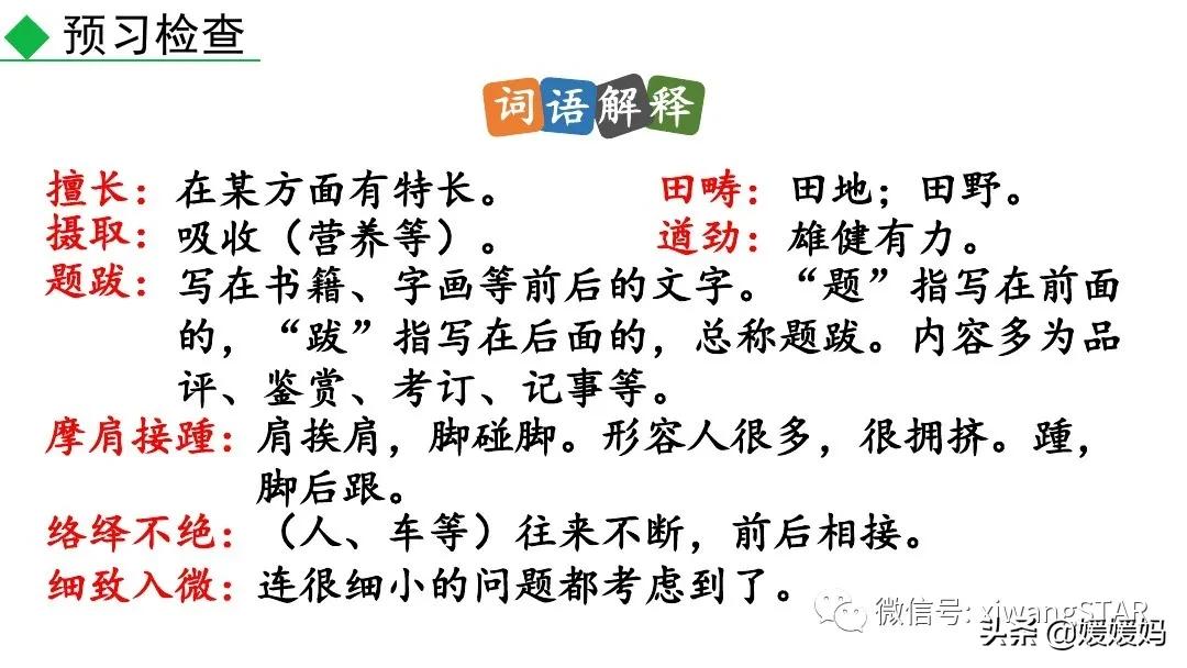 八上语文课文梦回繁华赏析,八上21课梦回繁华后字词拼音