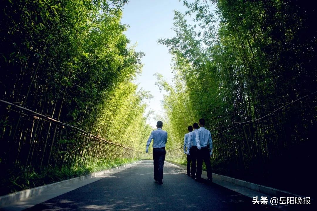 南湖天著唐山,南湖天著6栋物业管家