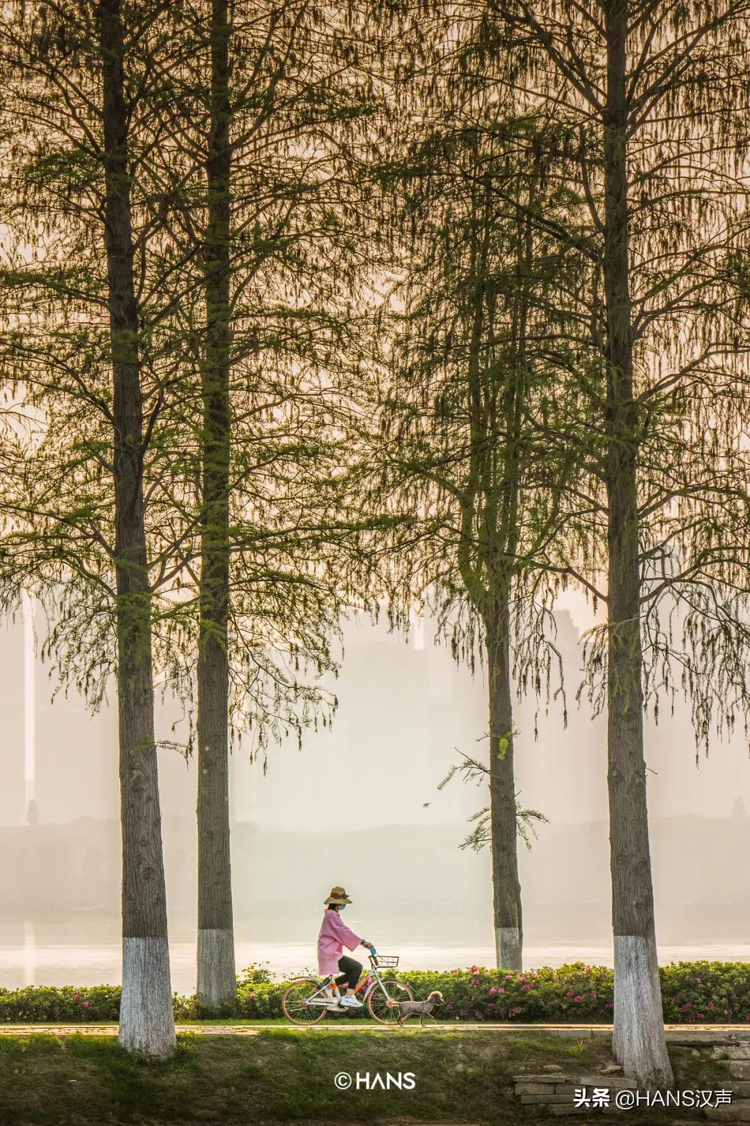 做一个女生的坏处,做一个女孩的好处
