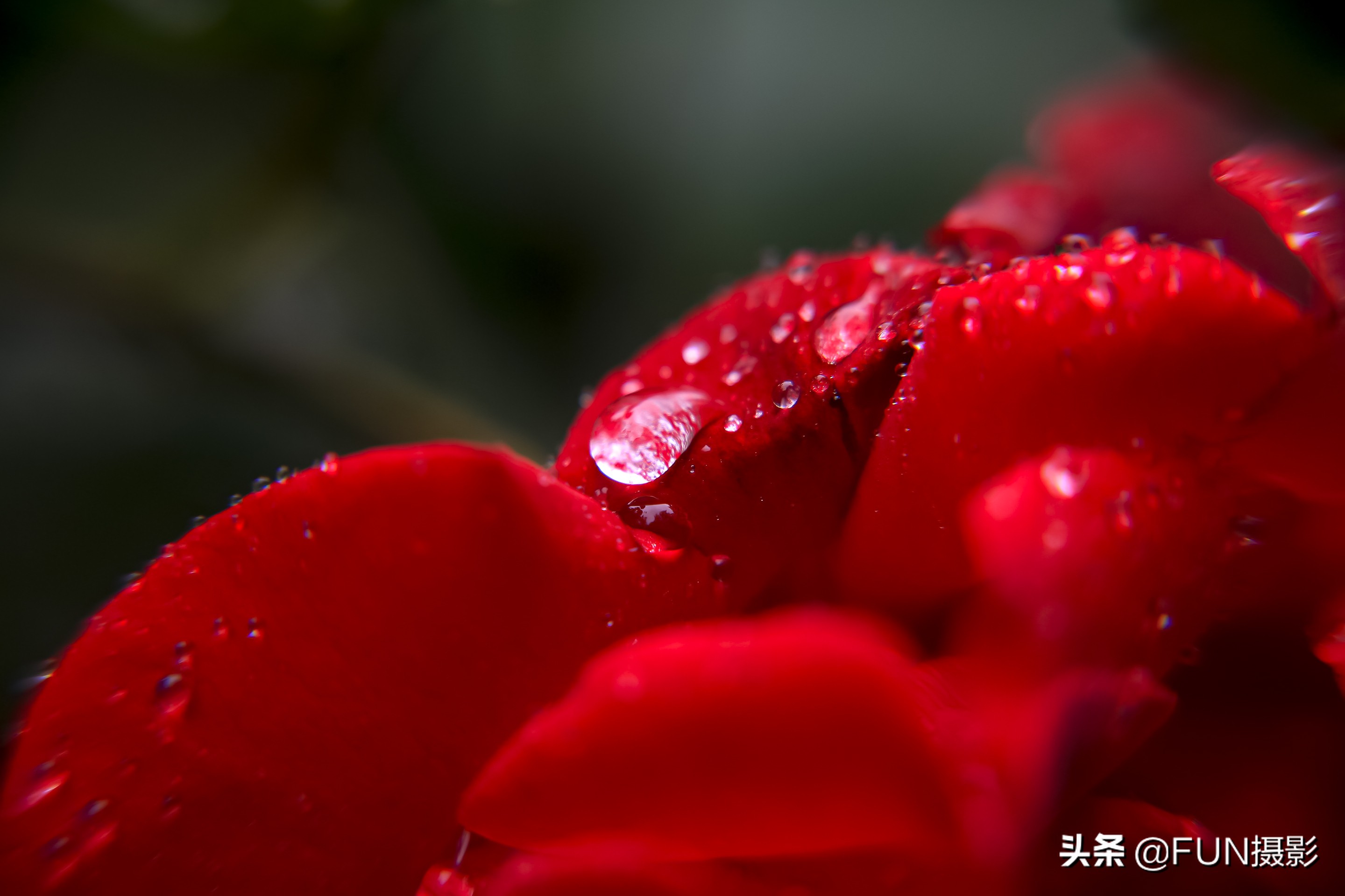 如何拍出好看的雨景照片,怎么拍下雨的雨景照片好看