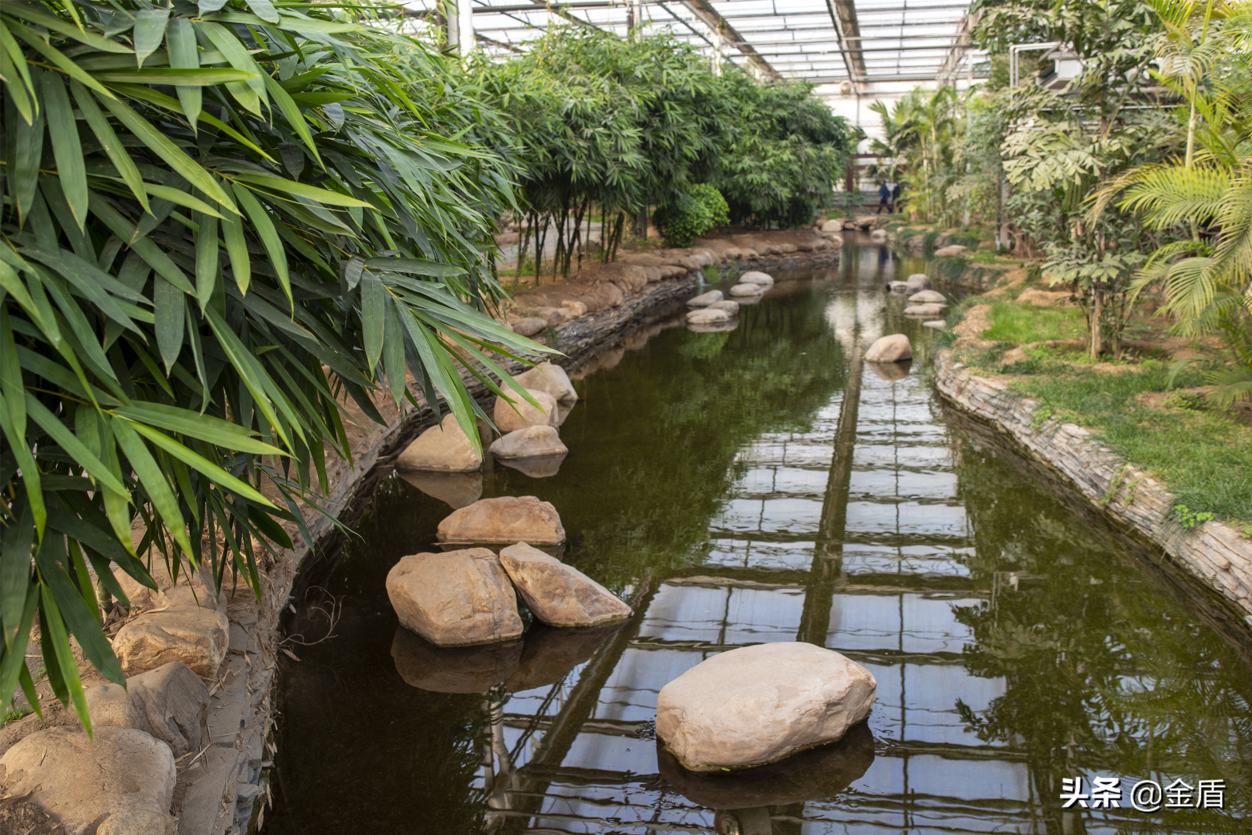 九天休闲谷好玩吗,九天休闲谷冬天开吗