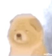 *党**妹视频里出现的那些Lolita小裙子大盘点!(一)