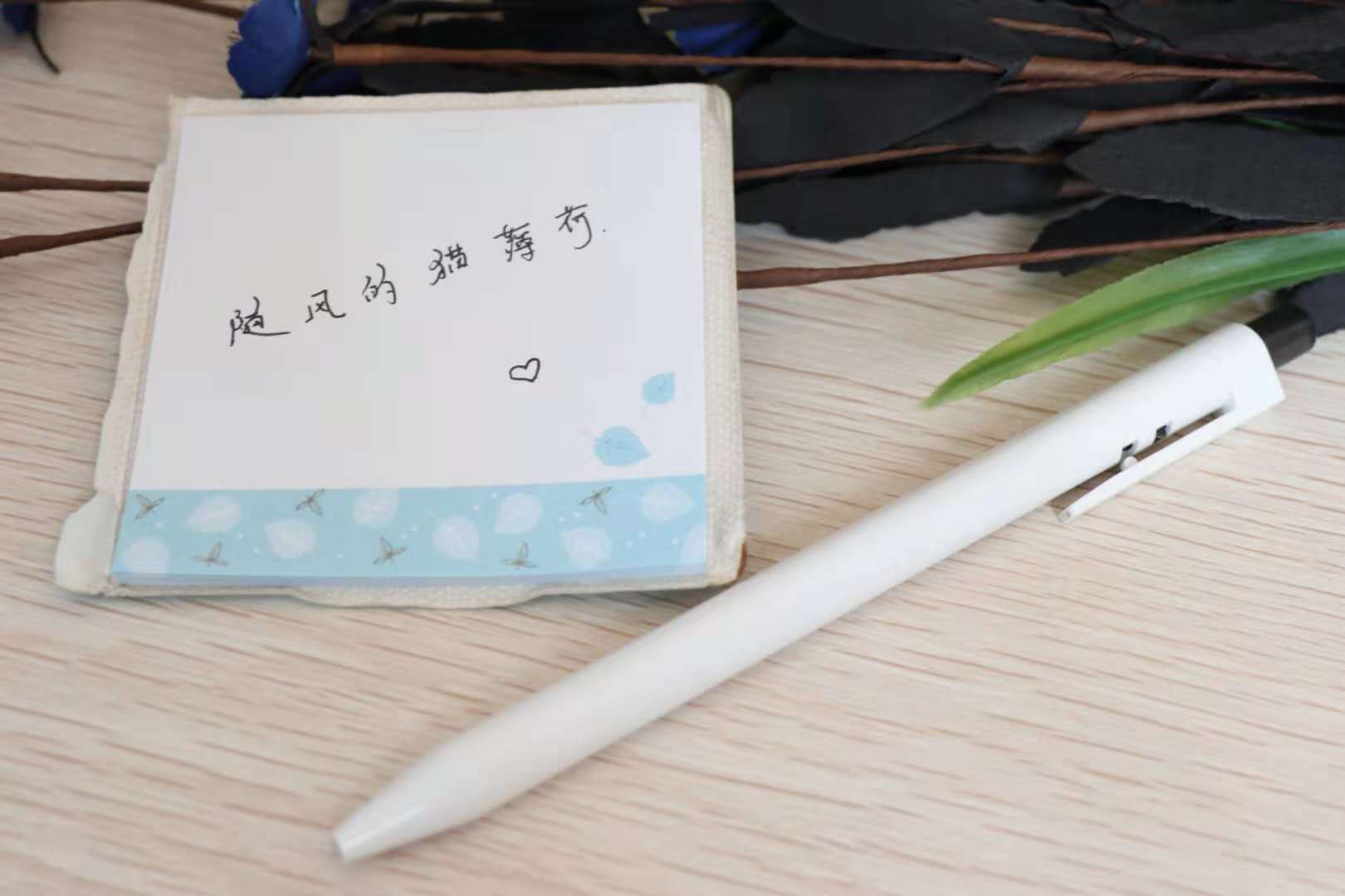 美妆博主的化妆物品有哪些,美妆博主的包里有什么