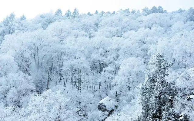 冬季的长白到底有多美？