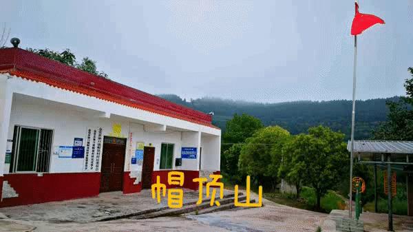 淮口好玩,金堂淮口枇杷