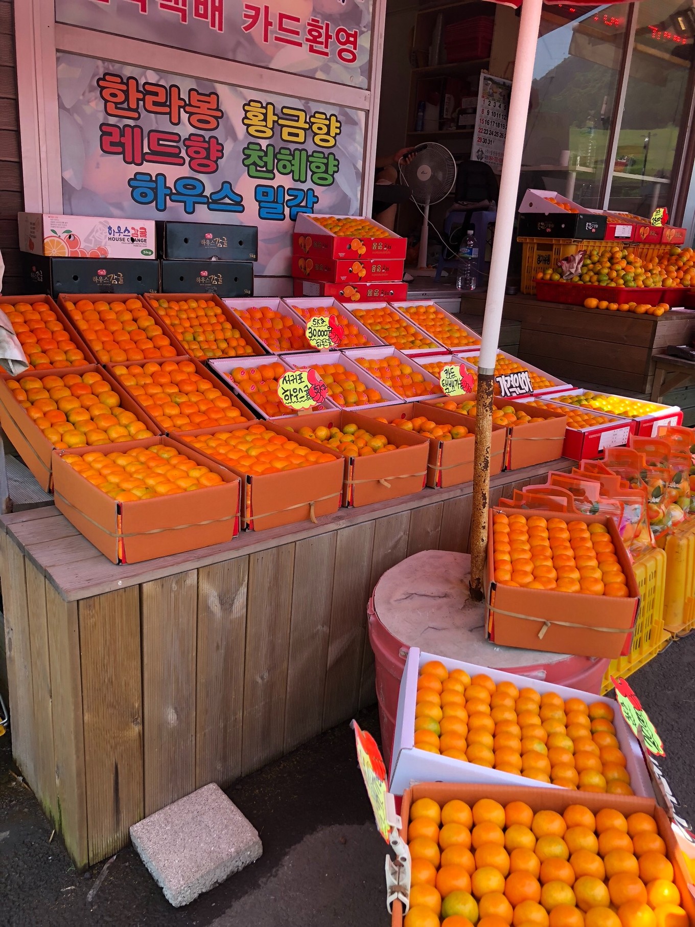 不会韩语如何去韩国玩,不会韩语怎么去韩国旅游