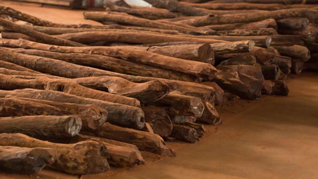 小叶紫檀手串值得入手吗,现在的小叶紫檀手串怎么样