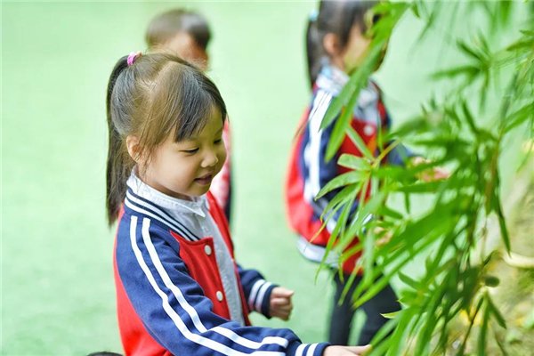家门口的好幼儿园,家门口的好学校有哪些建议