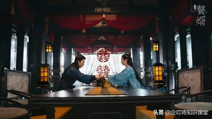 赘婿营销策略有哪些特点,赘婿商业案例