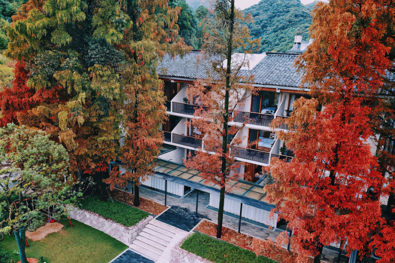 百家发布追寻奋斗百年路｜不能忘却的纪念　不断前进的柯城