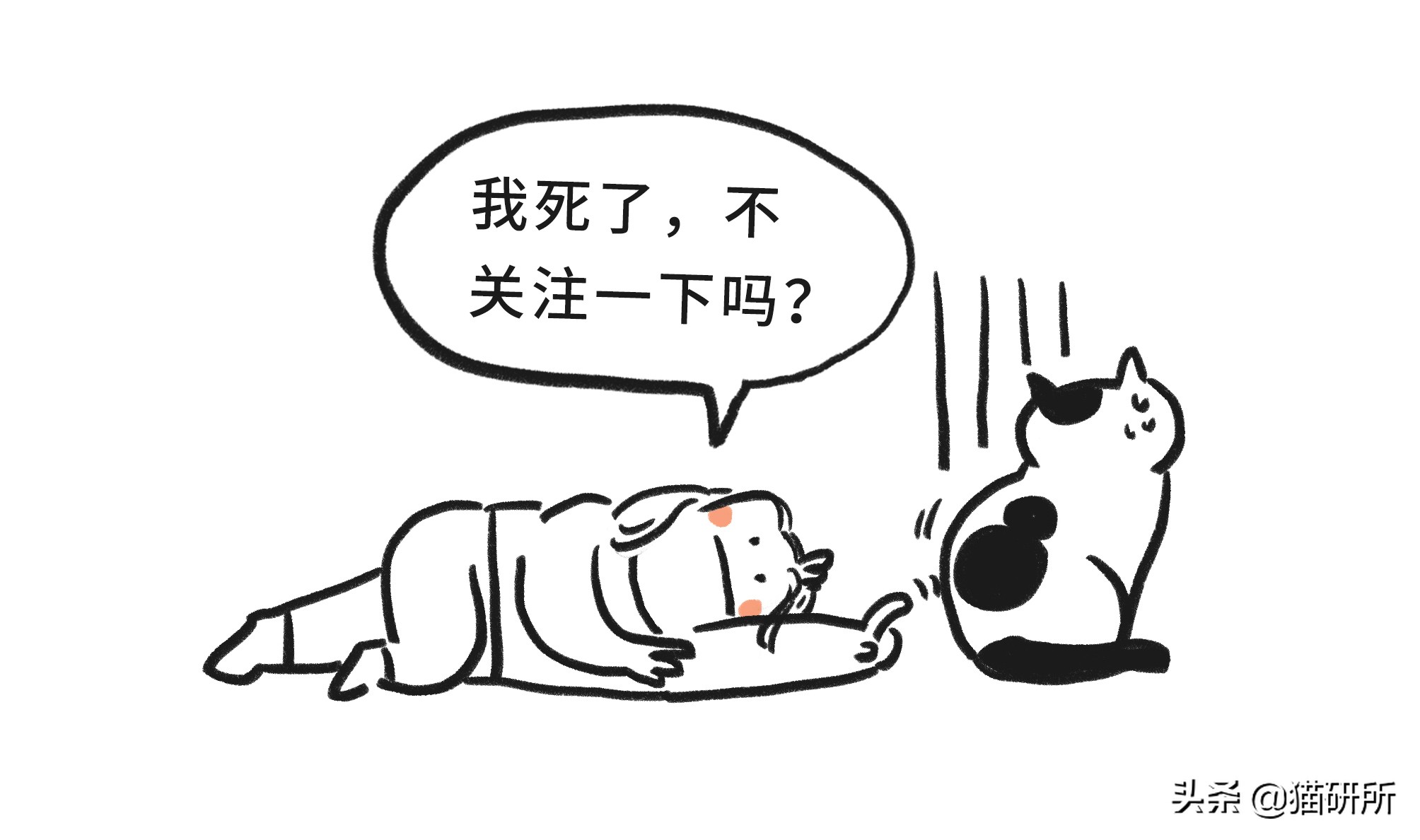 猫和主子玩装死游戏,在猫面前装死猫的反应