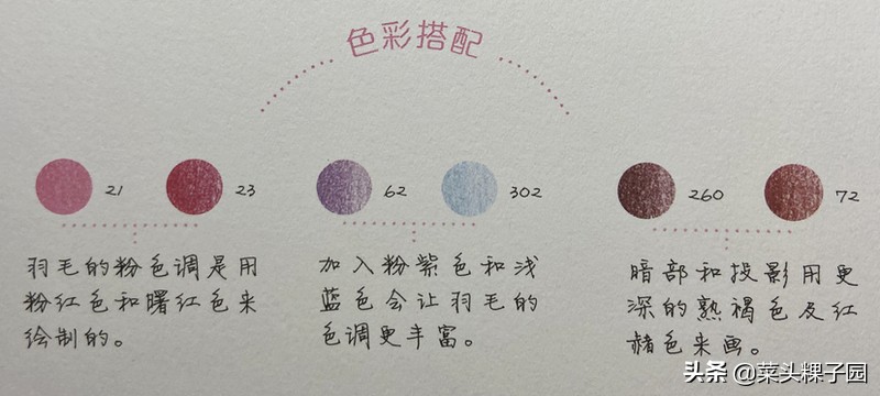 飞乐鸟彩铅人物教学,飞乐鸟彩铅测评