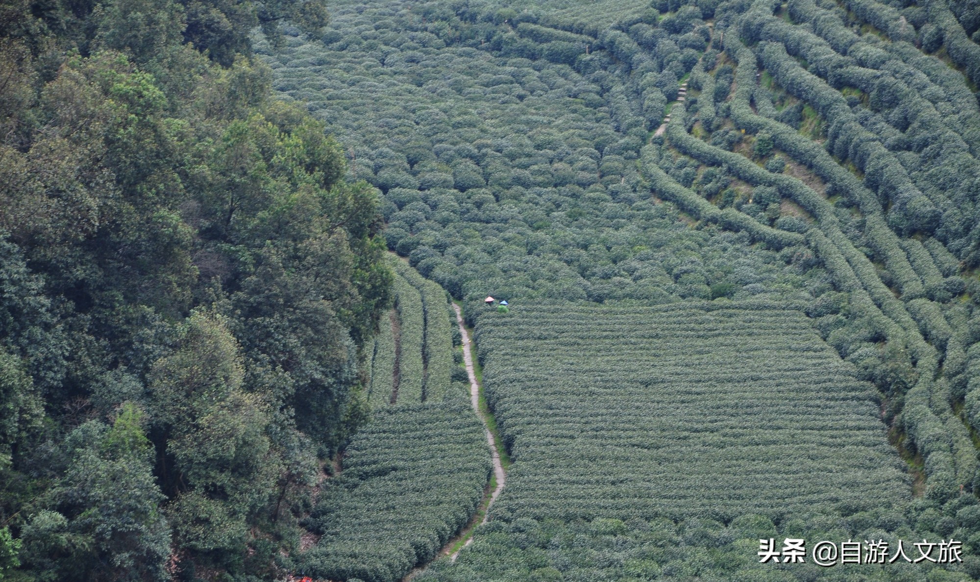 环西湖群山徒步毅行,行走西湖古诗词