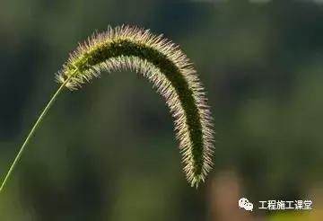 双方合伙包工程没有协议怎么办,合伙包工程怎样分红