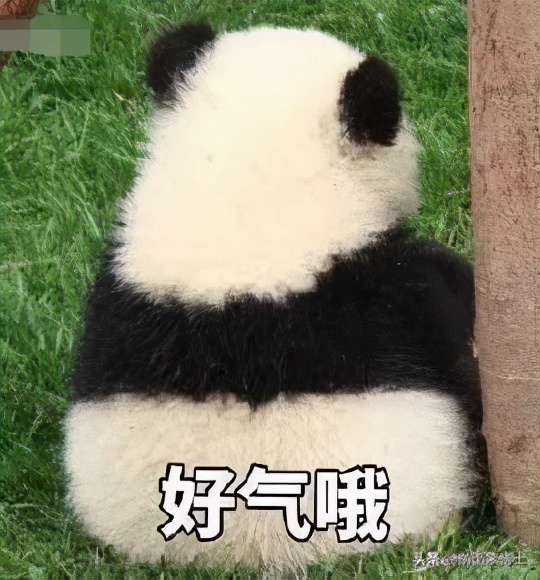 星巴克200家门店轰然倒闭,到底是谁在从中作祟?