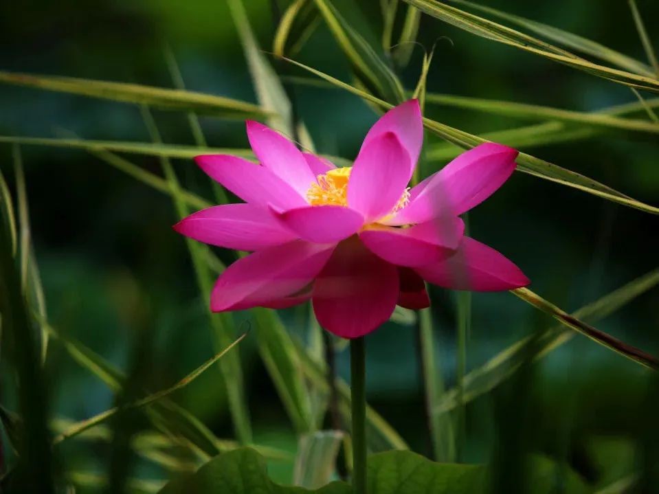 坐拥“专属地铁”,有7大美食集结地!东北这所大学“顶尖”配置太绝!