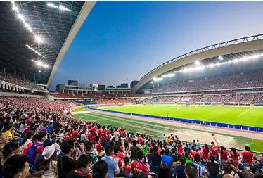 看足球的仪式,世界足球日主题日图