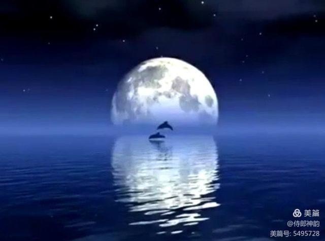 情爱禅语,佛家经典禅语