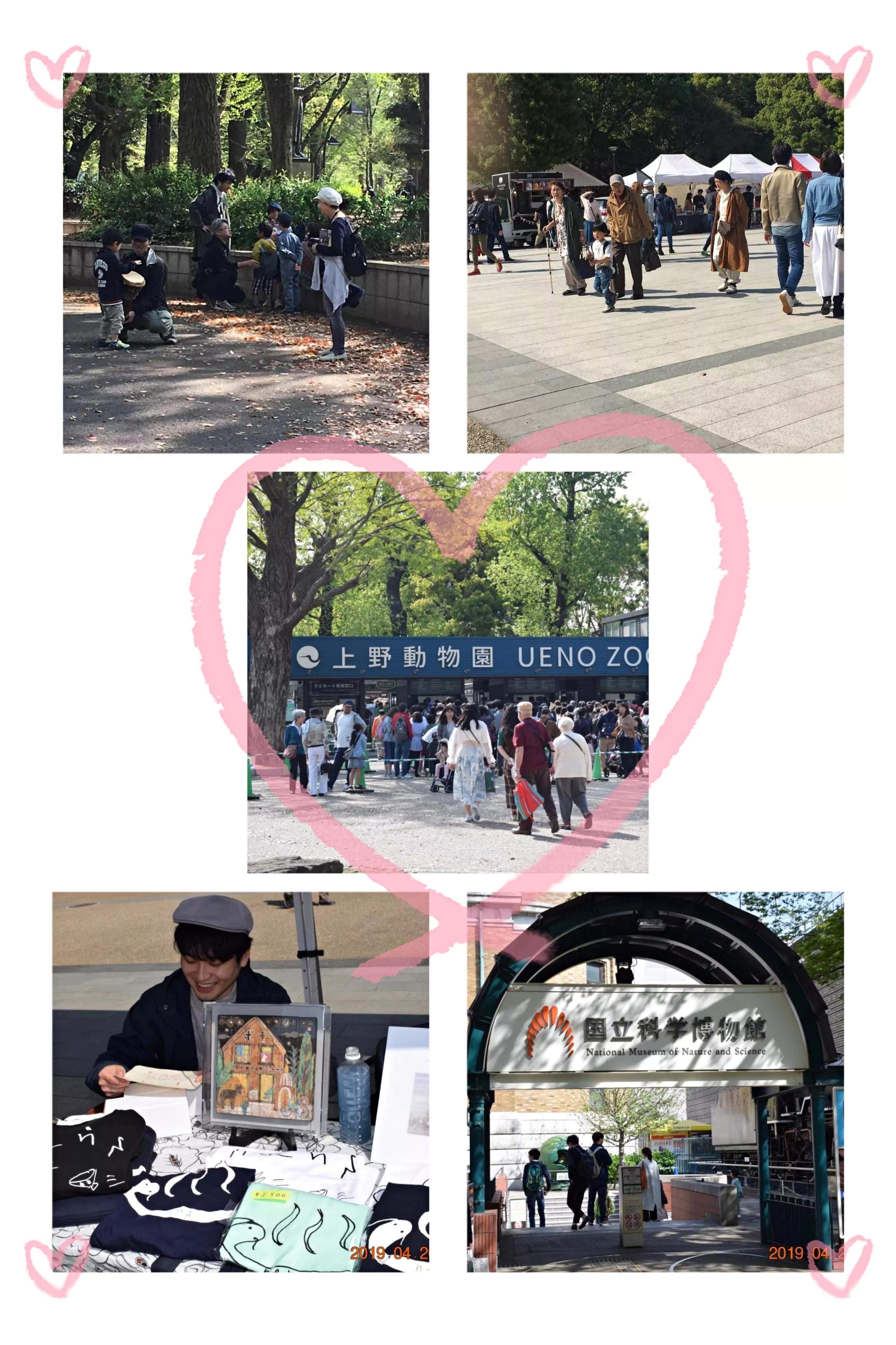 浪漫樱花舞完整版,浪漫樱花28步