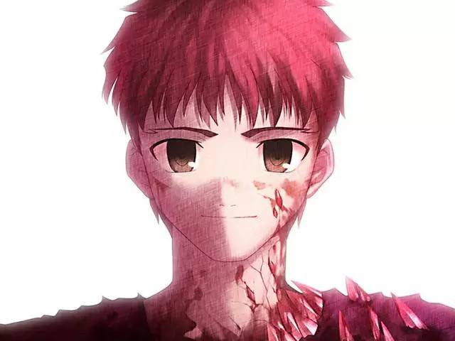 历届圣杯战争胜利者,历届英灵