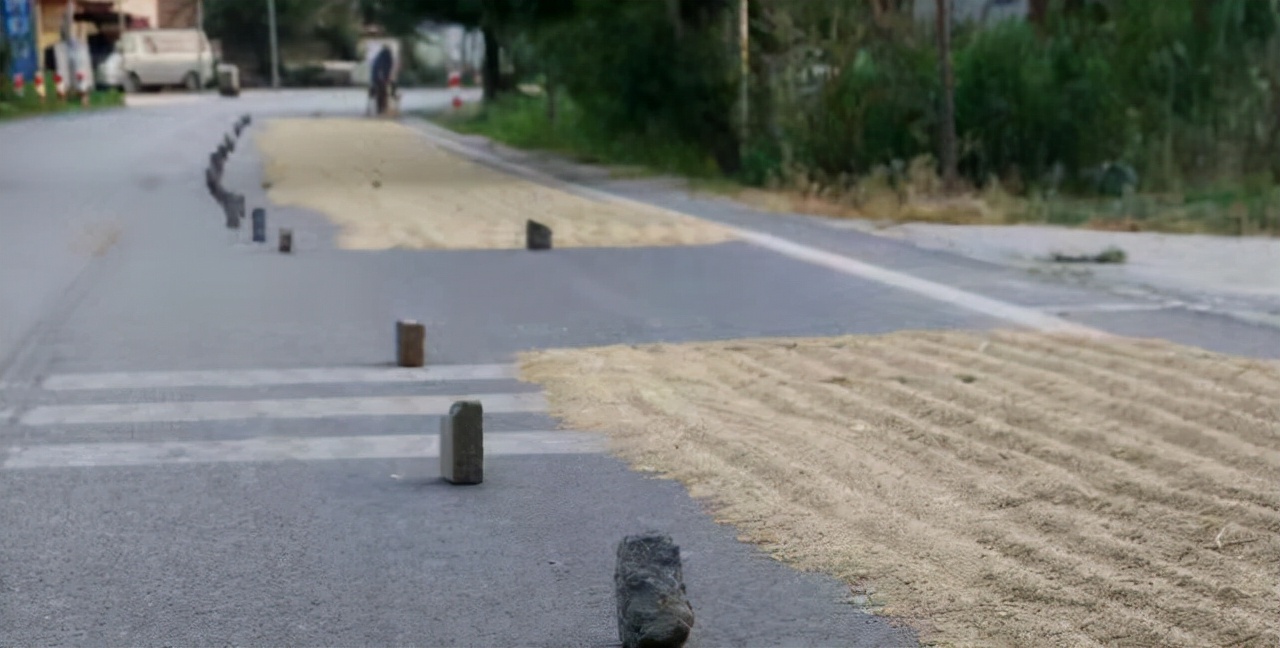 马路晒稻谷出现的事故,马路晒稻谷小心变成车祸现场