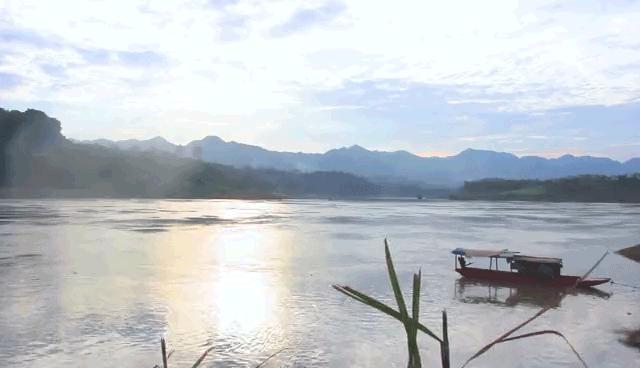 重庆初夏花海尽在这些免费公园,重庆最近的网红地花海