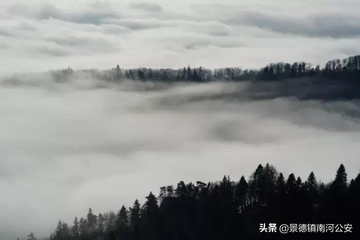 诗词专辑|落日涛声壮，长空雁影孤