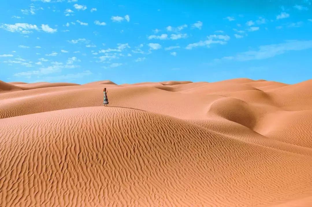 北疆的美完整版,北疆的景最美