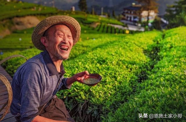 恩施土家人文地理：行游恩施，忠路雾洞春茶香