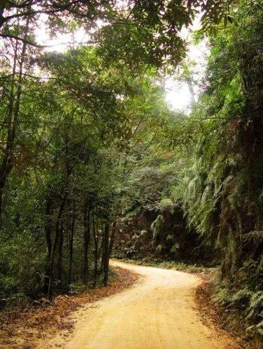 南昆山自驾游要带什么东西,南昆山怎么去旅游方便